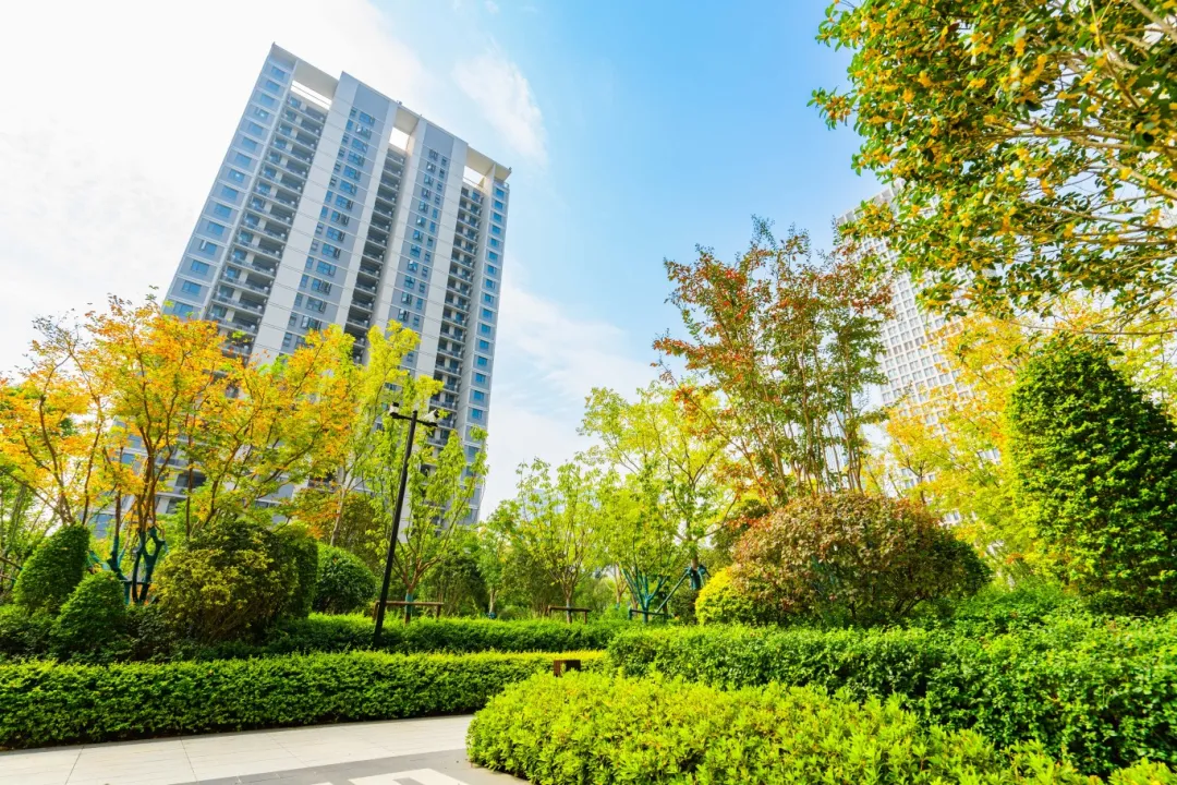 玩彩网·「中国区」官方网站